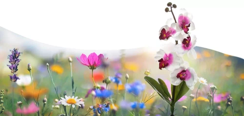 FLD-23-WP | Соларна LED лампа Orchid Garden | 75см, 600mAh