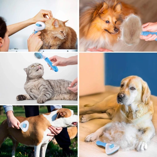 PSC-195-BLU | Spazzola per spazzolare peli di cani e gatti | Spazzola autopulente per la toelettatura degli animali