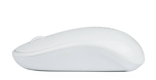 Q18 | Wireless office optical computer mouse | 1000 DPI | white