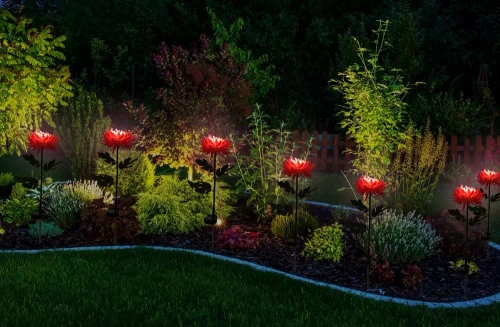 FLD-26-ROZE | Zonnebloem | Chrysant LED-tuinlamp op zonne-energie | 72cm, 600mAh