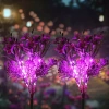 FLD-16-VIOLET | Lampe de jardin solaire LED Bouquet d'orchidées | 60 cm, 600 mAh