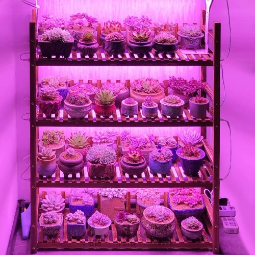 DG-T5-White DG-T5-White | Комплект от 2 лампи за отглеждане на цветя | 6W лампа за отглеждане на растения | Лампа със захранващ и свързващ кабел