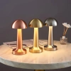 HJA11-ARGENT | Lampe de table sans fil | Lampe de nuit tactile avec couleur de lumière réglable | Lampe CHAMPIGNON USB