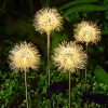 LED-Gartenleuchte Solarblume Dandelion | 68 cm, 600 mAh | FLD-28-W