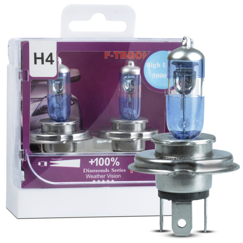 H4 55W 12V Halogen-Scheinwerferlampe Glühbirne | 2 Stück