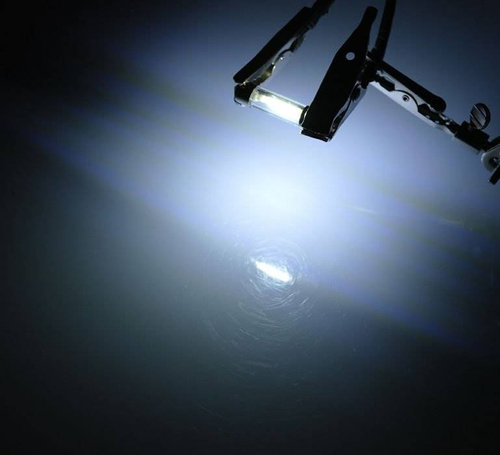 LED-Autolampe C5W | COB-Filament, 1 W