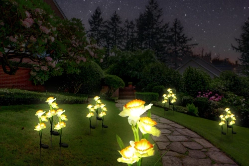 FLD-24 | Fiore solare | Lampada da giardino solare a LED Narciso Narciso | 67 cm, 600 mAh
