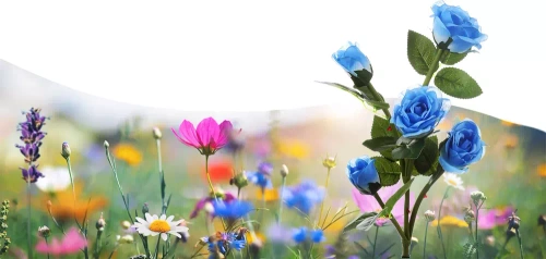 FLD-35-BLAUW | Zonnebloem | LED-tuinlamp op zonne-energie Blauwe rozen | 74cm, 600mAh