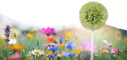 FLD-05-C | Lampada solare da giardino LED Garlic | 73 cm, 600 mAh