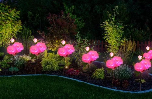 FLD-10-PINK | Solar garden lamp LED Peony pink | 80cm, 600mAh