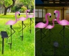 BRD-3IN1 | LED соларна градинска лампа Flamingos 3бр | 51см, 600mAh