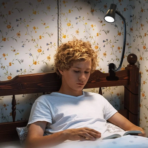 FH-08-5W-BK | Candeeiro de secretária com encaixe | Lâmpada de leitura flexível | Lâmpada noturna com capacidade de mudar de cor | Luz LED USB