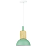 Hanglamp met glazen kap en hout | Scandinavisch design, E27 fitting | groen | YG-XD002A-G