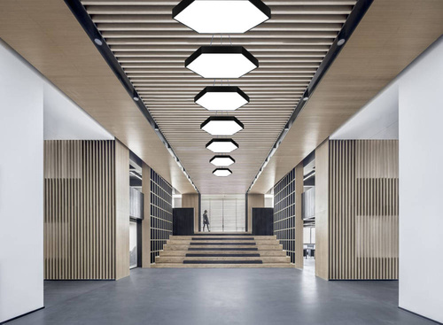 LPL-003 | LED hangende plafondlamp 50W | volledige zeshoek | aluminium | CCD niet-knipperend | Φ60x6