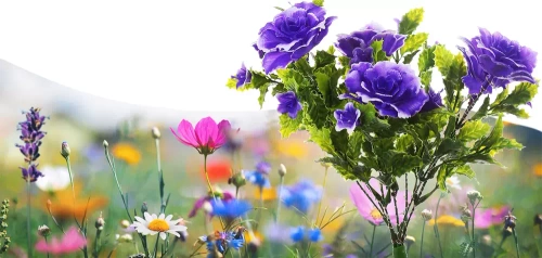 LED-Gartenleuchte Solar-Blume Begonie | 60 cm, 600 mAh | purple | FLD-27-PURPLE