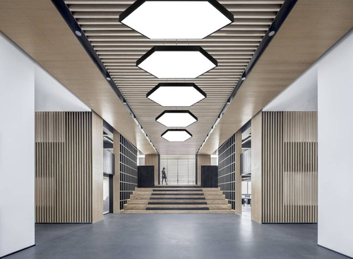 LPL-003 | Függesztett LED mennyezeti lámpa 100W | hatszög tele | alumínium | A CCD nem villog | Φ100x6