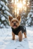 Manteau d’hiver pour chien avec harnais | taille M | noir | PET-016M-BK