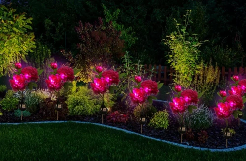 FLD-10-PURPLE | Solární zahradní lampa LED Pivoňka fialová | 80 cm, 600 mAh