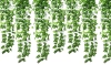 DG-Y230MM-VERT | Lierre artificiel | Guirlande décorative | Feuilles ornementales