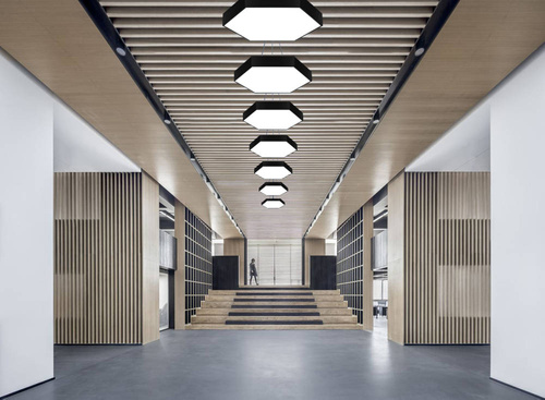 LPL-003 | Pakabinamas LED lubinis šviestuvas 36W | šešiakampis pilnas | aliuminio | CCD nemirksi | Φ40x6