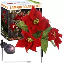 FLD-22-RED | Garden solar lamp LED Star of Bethlehem | 70cm, 600mAh