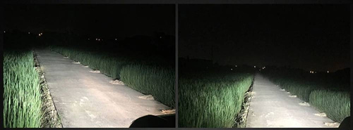 H11 LED R10 COB 360 ° lempučių rinkinys | 80W | 20000lm