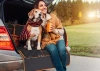 DM-021 | Car trunk mat, pet transport waterproof cover | With pocket and detachable mesh
