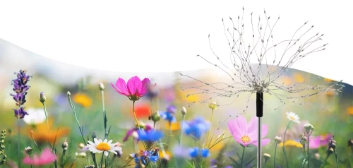 LED-Gartenleuchte Solar Feuerwerk | 84 cm, 600 mAh, 200 LEDs RGB | LFW-B200-Color