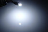 LED-Autoleuchtmittel | W5W T10 | 18 SMD 4014 | CAN BUS