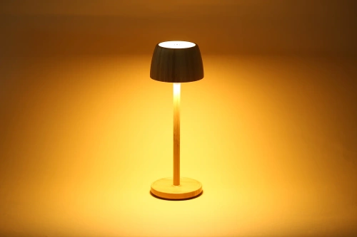 Lampe de table LED en bambou avec réglage tactile des couleurs | Veilleuse sans fil avec batterie intégrée de 1500 mAh, USB-C | YG-VM41C